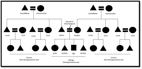 Thumbnail for Kinship diagrams
